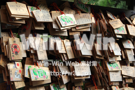 琴平神社_絵馬の写真素材 W-004775
