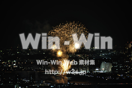 川崎市制記念多摩川花火大会の写真素材 W-005101