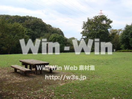 王禅寺ふるさと公園17の写真素材 W-005550