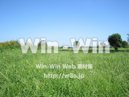 せせらぎ公園-川崎市の写真素材 W-004423