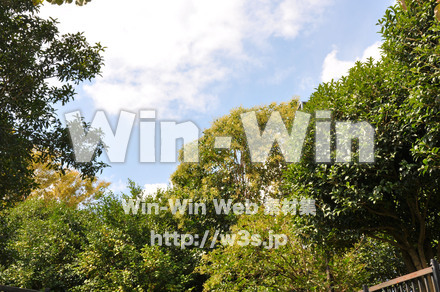 鶴亀松公園7の写真素材 W-005865