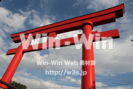 琴平神社_大鳥居の写真素材 W-004744