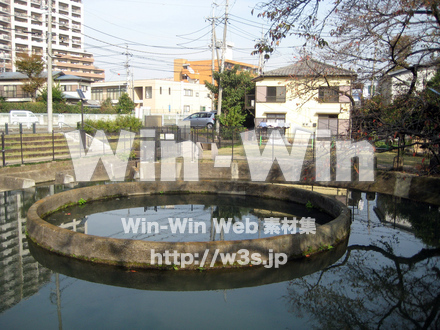 二ヶ領用水（高津区）の写真素材 W-004924