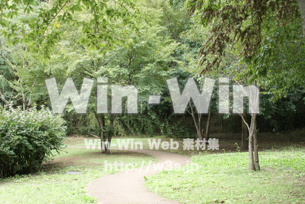 王禅寺ふるさと公園09の写真素材 W-004012