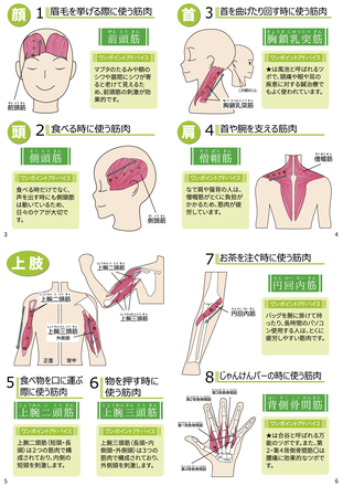 セルフケアマッサージ冊子　4～7P D-005858 の冊子・カタログ
