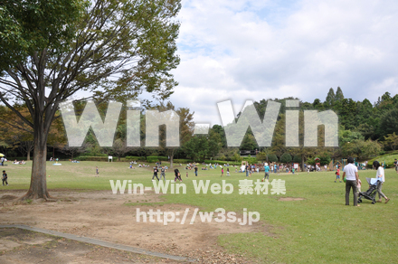 王禅寺ふるさと公園14の写真素材 W-005547