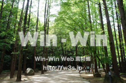 生田緑地の写真素材 W-004823