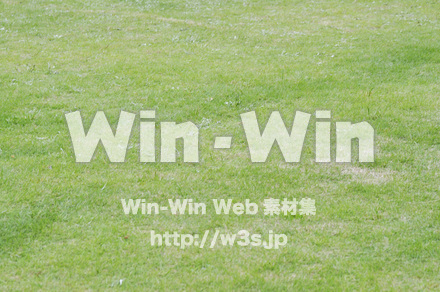 芝生の写真素材 W-004966