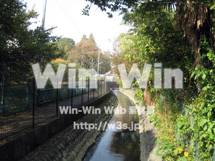 二ヶ領用水（高津区）の写真素材 W-004923