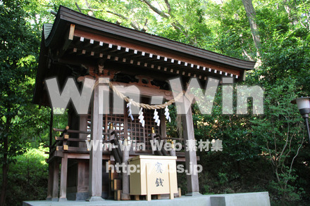 琴平神社_稲荷社の写真素材 W-004817