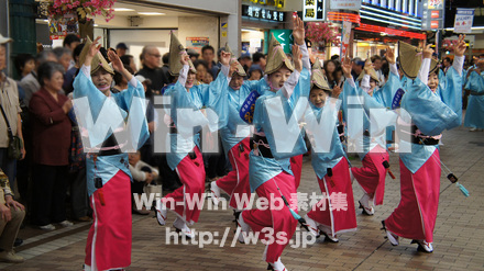 川崎阿波踊りの写真素材 W-005390