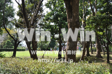 鶴亀松公園8の写真素材 W-005866