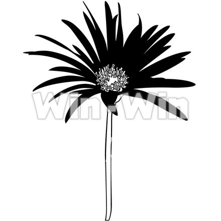 ガーベラのシルエット素材 W-005166