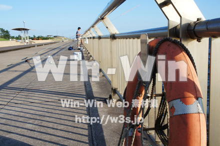 東扇島西公園の写真素材 W-004212