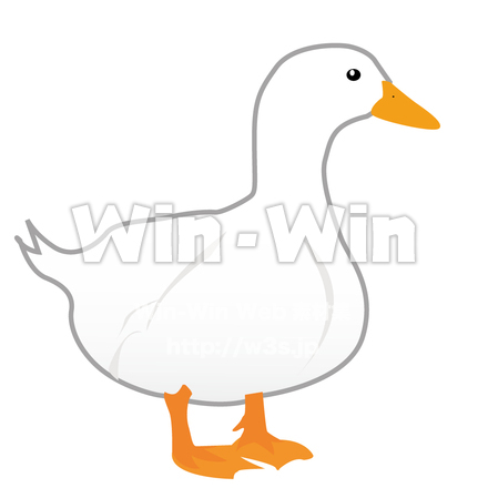 あひるのCG・イラスト素材 W-006304