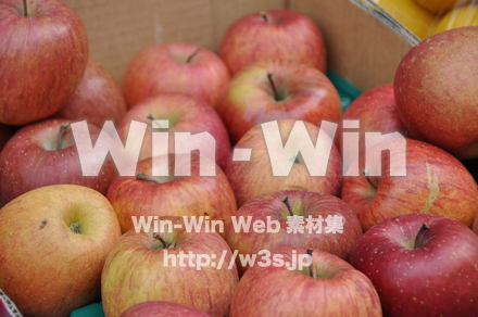 りんごの写真素材 W-007715