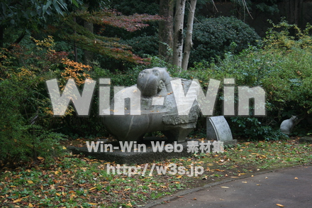 市民プラザ-02の写真素材 W-007365