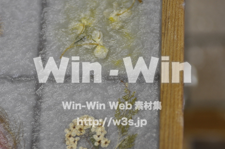 越前和紙作りの写真素材 W-006207