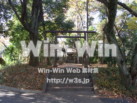 明治大学 生田キャンパス03の写真素材 W-007877