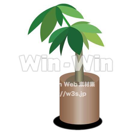 観葉植物のCG・イラスト素材 W-006088
