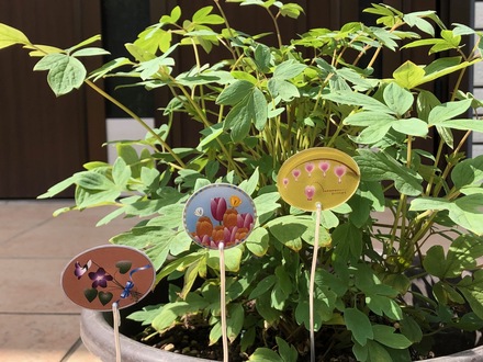 ガーデンピック D-006587 のその他