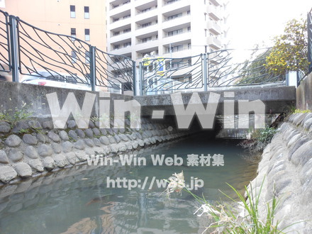 溝の口の写真素材 W-007586