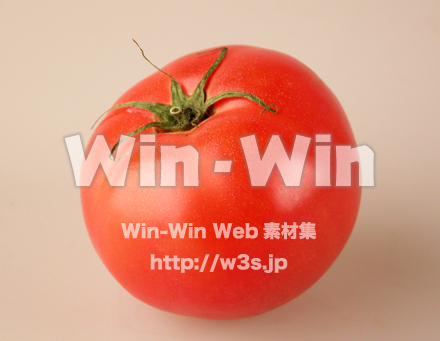 とまとの写真素材 W-007377