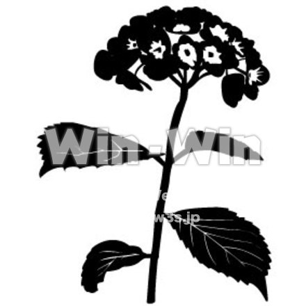 あじさいのシルエット素材 W-006239