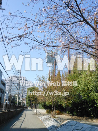 川崎球場の写真素材 W-007601