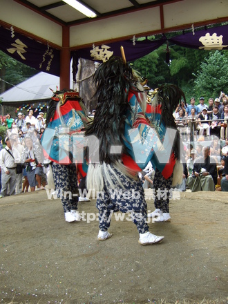 管の獅子舞の写真素材 W-006023