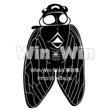 蝉のシルエット素材 W-006452