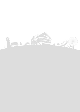 埼玉街ブラシ D-006644 のその他