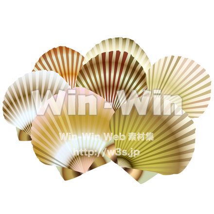 ほたて貝のCG・イラスト素材 W-006183