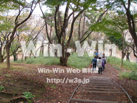 梶ヶ谷第一公園の写真素材 W-007485