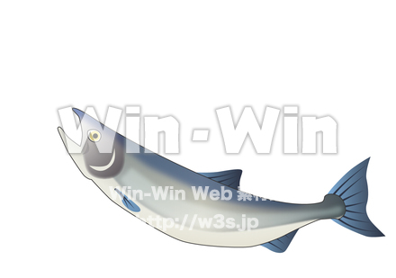 しゃけのCG・イラスト素材 W-006628