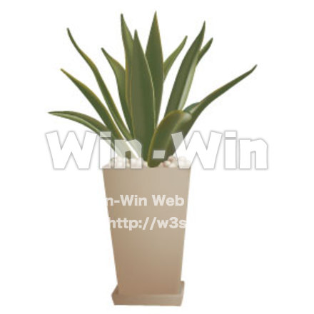 観葉植物　フルカラーのCG・イラスト素材 W-006418