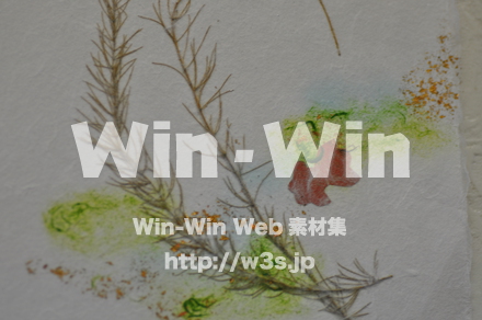 越前和紙作りの写真素材 W-006205