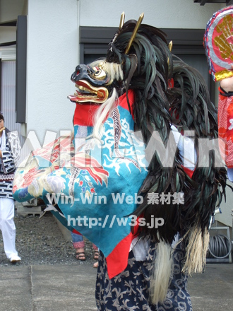 管の獅子舞の写真素材 W-006017