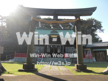 稲毛惣社　白幡八幡大神　９の写真素材 W-006419