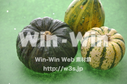 坊ちゃんかぼちゃの写真素材 W-007358