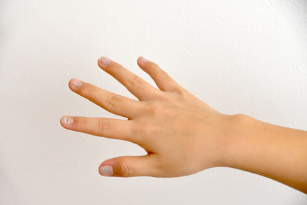 2024年冬イベント課題 D-006978 のその他