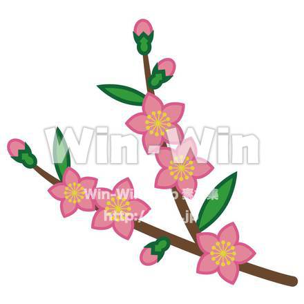 桃のCG・イラスト素材 W-006105