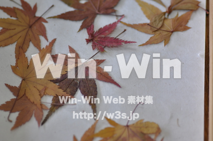 越前和紙作りの写真素材 W-006221