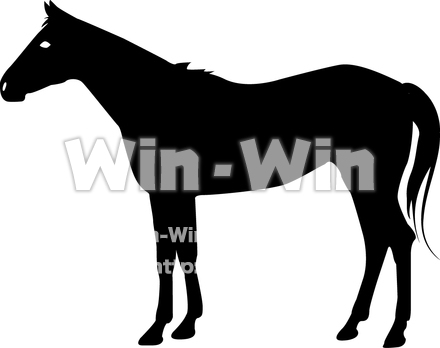 馬のCG・イラスト素材 W-006880