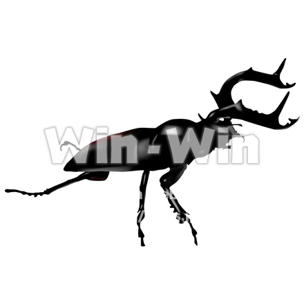 クワガタのCG・イラスト素材 W-006086