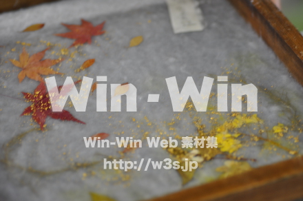 越前和紙作りの写真素材 W-006193