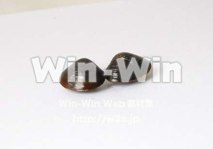 しじみの写真素材 W-007468