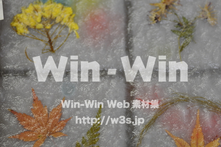 越前和紙作りの写真素材 W-006206