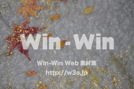 越前和紙作りの写真素材 W-006194