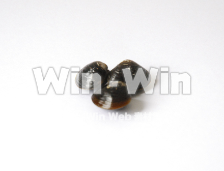 しじみの写真素材 W-007465